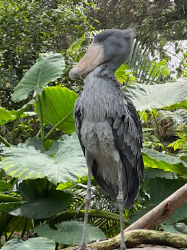 神戸どうぶつ王国に投稿された画像（2022/3/25）