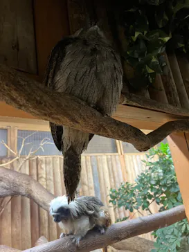 神戸どうぶつ王国に投稿された画像（2022/3/25）