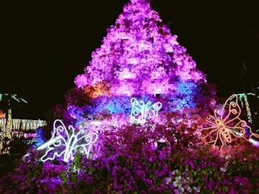 美らヤシパークオキナワ・東南植物楽園に投稿された画像（2022/3/25）