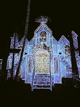 美らヤシパークオキナワ・東南植物楽園に投稿された画像（2022/3/25）