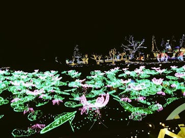 美らヤシパークオキナワ・東南植物楽園に投稿された画像（2022/3/25）