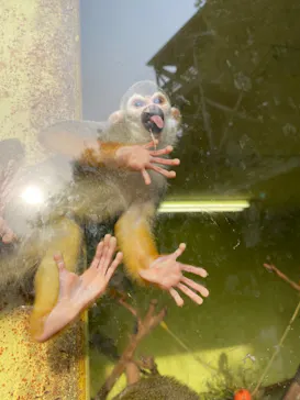 ひらかたパークに投稿された画像（2022/3/25）