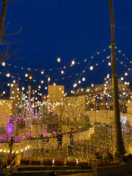 ひらかたパークに投稿された画像（2022/3/25）