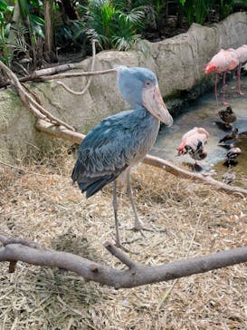 那須どうぶつ王国に投稿された画像（2022/3/25）