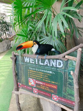 那須どうぶつ王国に投稿された画像（2022/3/25）