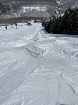 菅平高原スノーリゾートに投稿された画像（2022/3/25）