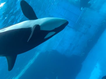 名古屋港水族館に投稿された画像（2022/3/26）