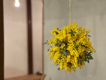 アトリエひわだやに投稿された画像（2022/3/26）