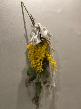 アトリエひわだやに投稿された画像（2022/3/26）