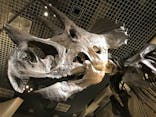 国立科学博物館に投稿された画像（2022/3/26）