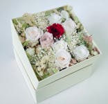 ずこうしつ〜sugamo〜に投稿された画像（2022/3/26）