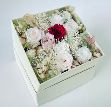 ずこうしつ〜sugamo〜に投稿された画像（2022/3/26）