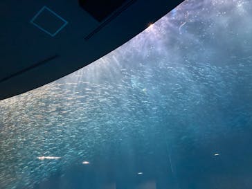 名古屋港水族館に投稿された画像（2022/3/26）