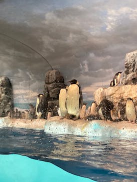 名古屋港水族館に投稿された画像（2022/3/26）