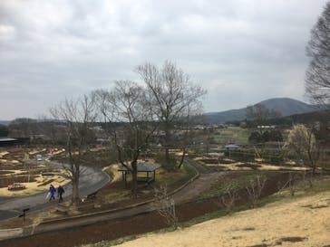 いばらきフラワーパークに投稿された画像（2022/3/26）