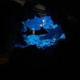 京都水族館に投稿された画像（2022/3/26）