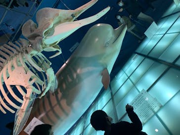 名古屋港水族館に投稿された画像（2022/3/26）