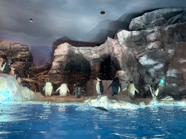 名古屋港水族館に投稿された画像（2022/3/26）