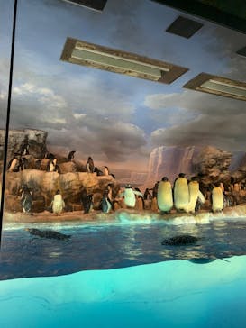 名古屋港水族館に投稿された画像（2022/3/26）