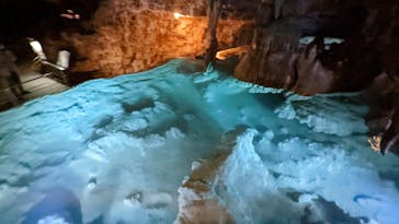 おきなわワールドに投稿された画像（2022/3/26）