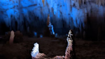 おきなわワールドに投稿された画像（2022/3/26）