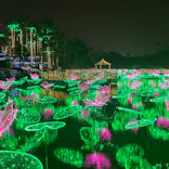 美らヤシパークオキナワ・東南植物楽園に投稿された画像（2022/3/26）