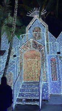 美らヤシパークオキナワ・東南植物楽園に投稿された画像（2022/3/26）