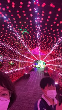 美らヤシパークオキナワ・東南植物楽園に投稿された画像（2022/3/26）