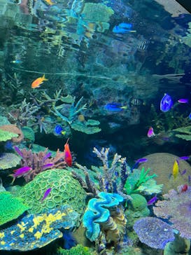 サンシャイン水族館に投稿された画像（2022/3/26）