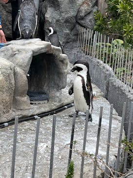 サンシャイン水族館に投稿された画像（2022/3/26）