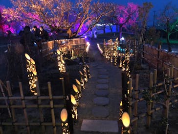 せんだい農業園芸センター　みどりの杜に投稿された画像（2022/3/26）