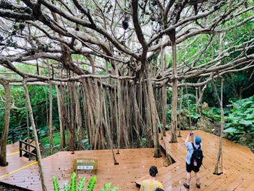 アスムイハイクスに投稿された画像（2022/3/26）