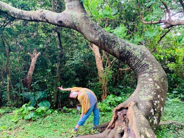 アスムイハイクスに投稿された画像（2022/3/26）