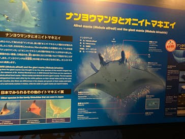沖縄美ら海水族館に投稿された画像（2022/3/26）