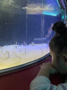 株式会社Gに投稿された画像（2022/3/26）