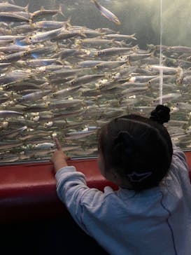 株式会社Gに投稿された画像（2022/3/26）