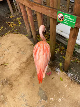 横浜・八景島シーパラダイスに投稿された画像（2022/3/26）