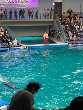 マクセル アクアパーク品川に投稿された画像（2022/3/26）