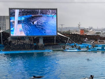 名古屋港水族館に投稿された画像（2022/3/26）