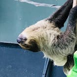 カワスイ 川崎⽔族館に投稿された画像（2022/3/26）