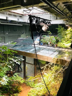 カワスイ 川崎⽔族館に投稿された画像（2022/3/26）