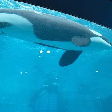 名古屋港水族館に投稿された画像（2022/3/26）