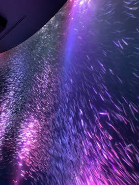 名古屋港水族館に投稿された画像（2022/3/26）