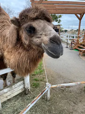 神戸どうぶつ王国に投稿された画像（2022/3/26）