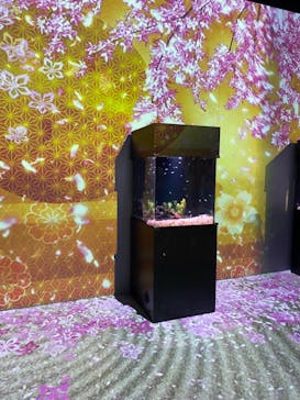 マクセル アクアパーク品川に投稿された画像（2022/3/26）