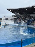 京都水族館に投稿された画像（2022/3/26）