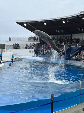 京都水族館に投稿された画像（2022/3/26）