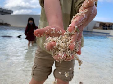 大分マリーンパレス水族館 「うみたまご」に投稿された画像（2022/3/26）
