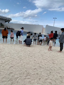 大分マリーンパレス水族館 「うみたまご」に投稿された画像（2022/3/26）