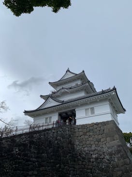 小田原城に投稿された画像（2022/3/26）